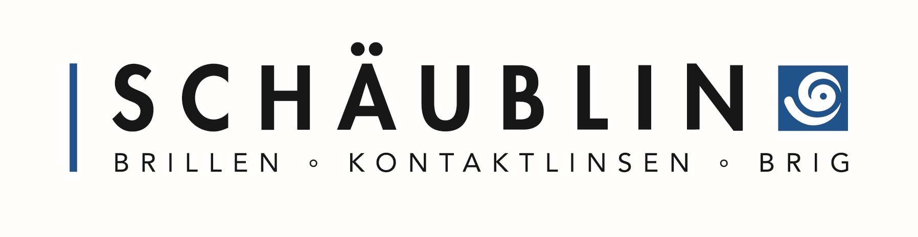 Schäublin Optik